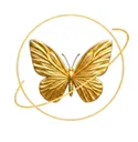 Transform Elite